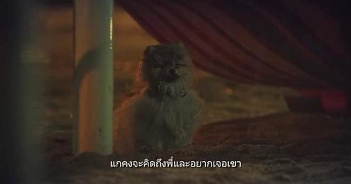 nyreview2's tweet photo. #tomorrow the best of the best บทดีมาก น้ำตาไหลยันตีนอีเวน ตอนน้องหมานี่คือดีมากหมาก็คิดฆ่าตัวตายได้ น้องไม่อยากให้เจ้าของเศร้าเลยหนีออกจากบ้านเพื่อที่จะได้ไม่เป็นภาระออกมาตายคนเดียว โอ้ยน้ำตาไหลไม่ไหวแล้วขนาดน้องพูดไม่ได้ #รีวิวnetflix #รีวิวซีรี่ย์เกาหลี #ไว้รีวิวห้ามขายของโว้ย https://t.co/DktI4JpdrC