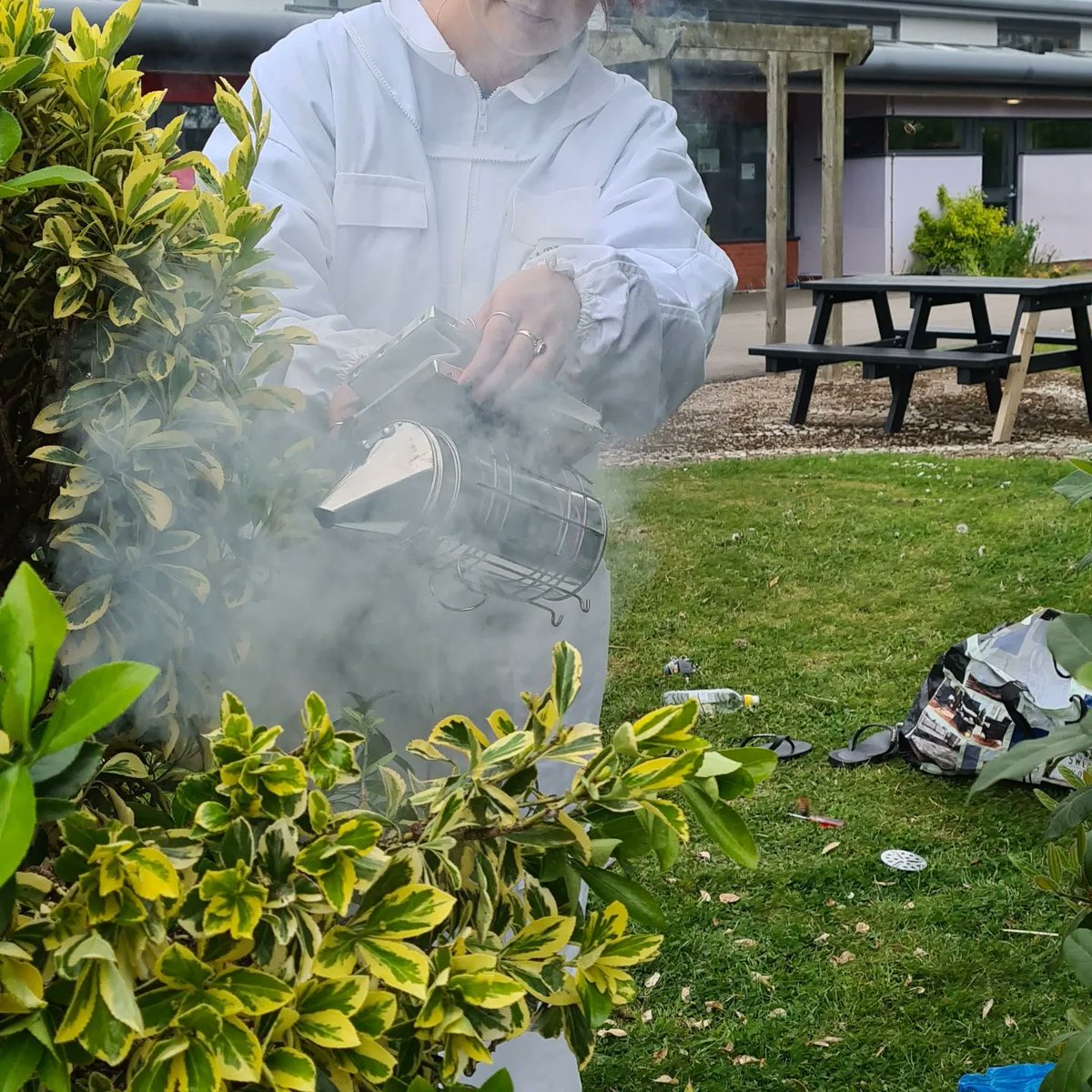 MrsdebT33's tweet photo. Not how I expected to spend a Sunday, helping remove a swarm of bees at school! https://t.co/kZKuYWRgRC