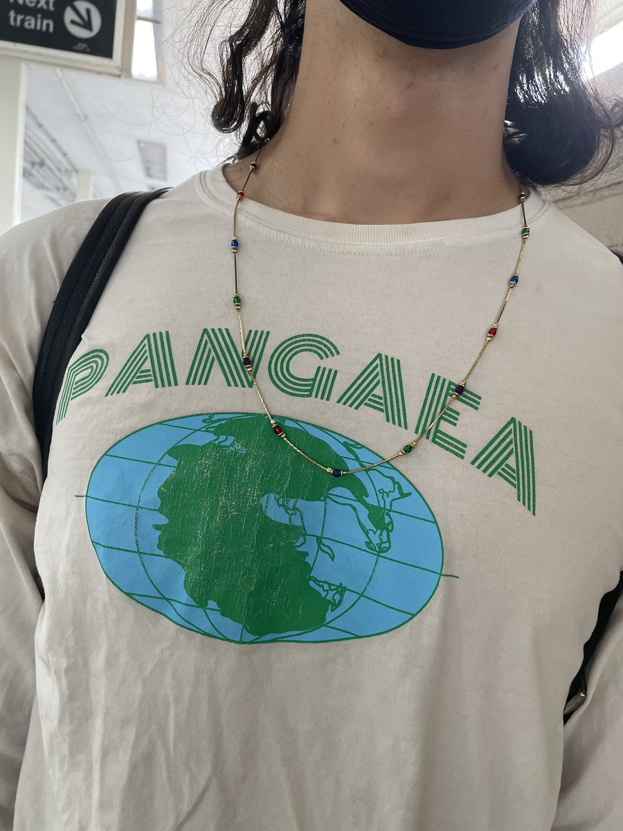 pleaseclapp's tweet image. train’s late but at least we got the pangea shirt #platetectonics #supercontinent