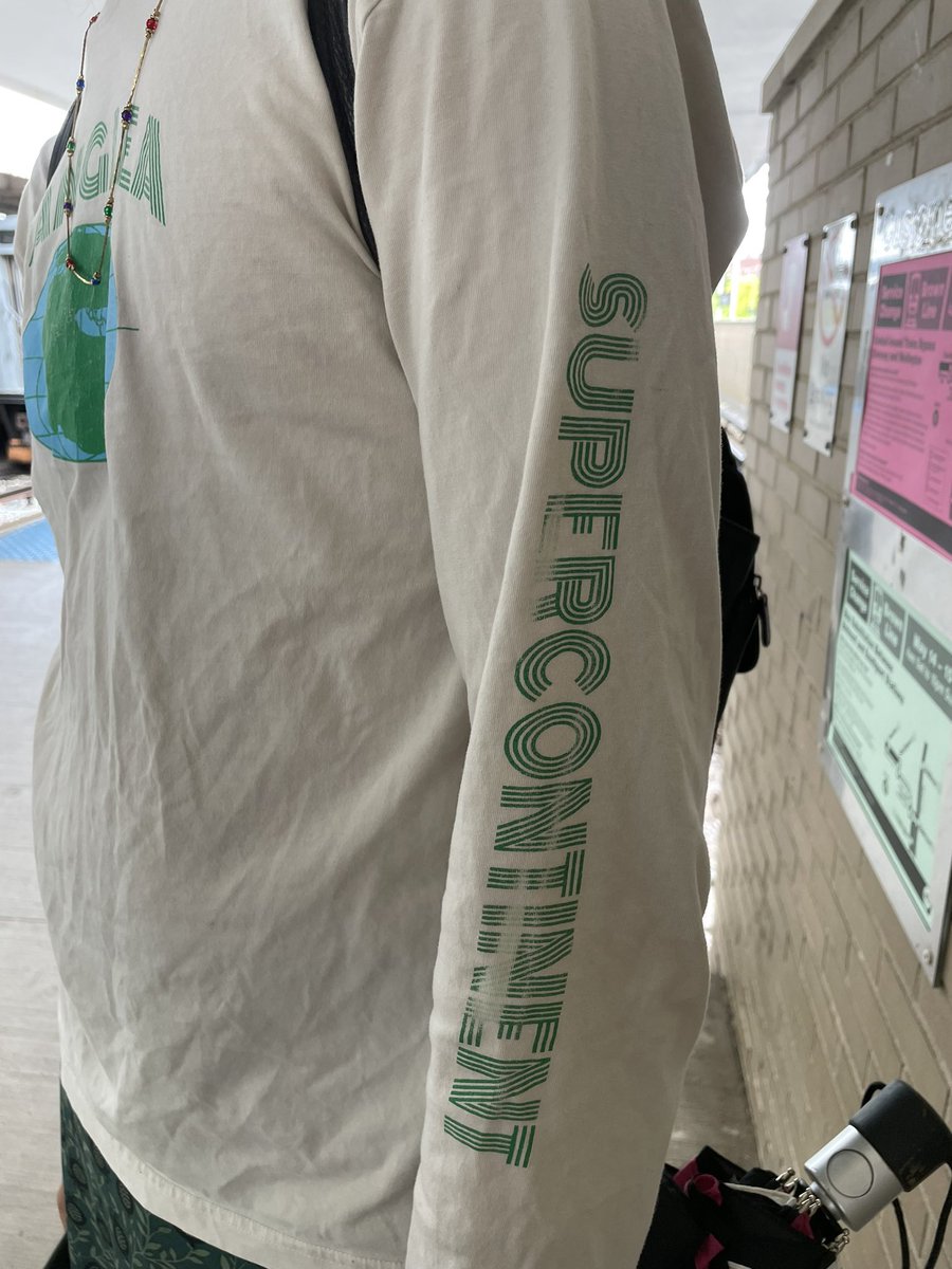 pleaseclapp's tweet image. train’s late but at least we got the pangea shirt #platetectonics #supercontinent