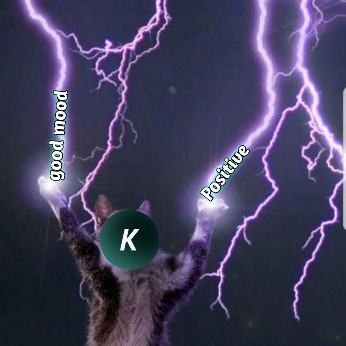 dafakris's tweet photo. @KYVENetwork #kyve #kyvenetwork #kyvetestnet kyve10tt86yym3uhtzmyddx22a7dasryaqxnqzatak8 https://t.co/mHS7dZMMIw