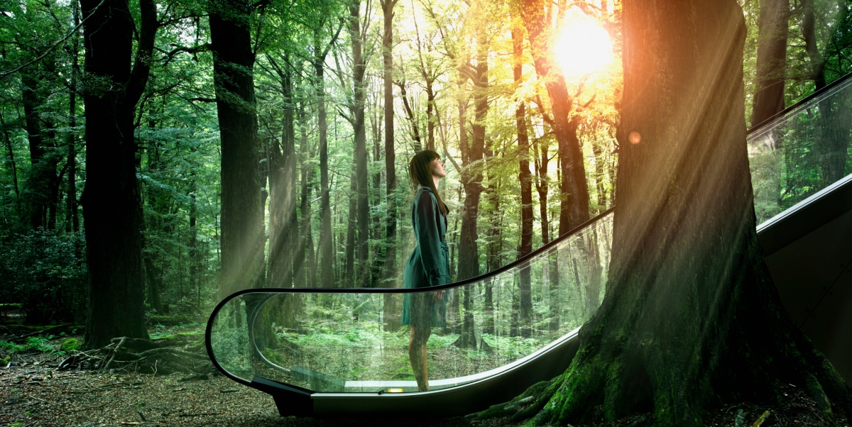 How AR and VR are transforming customer experiences dlvr.it/SQQN0V