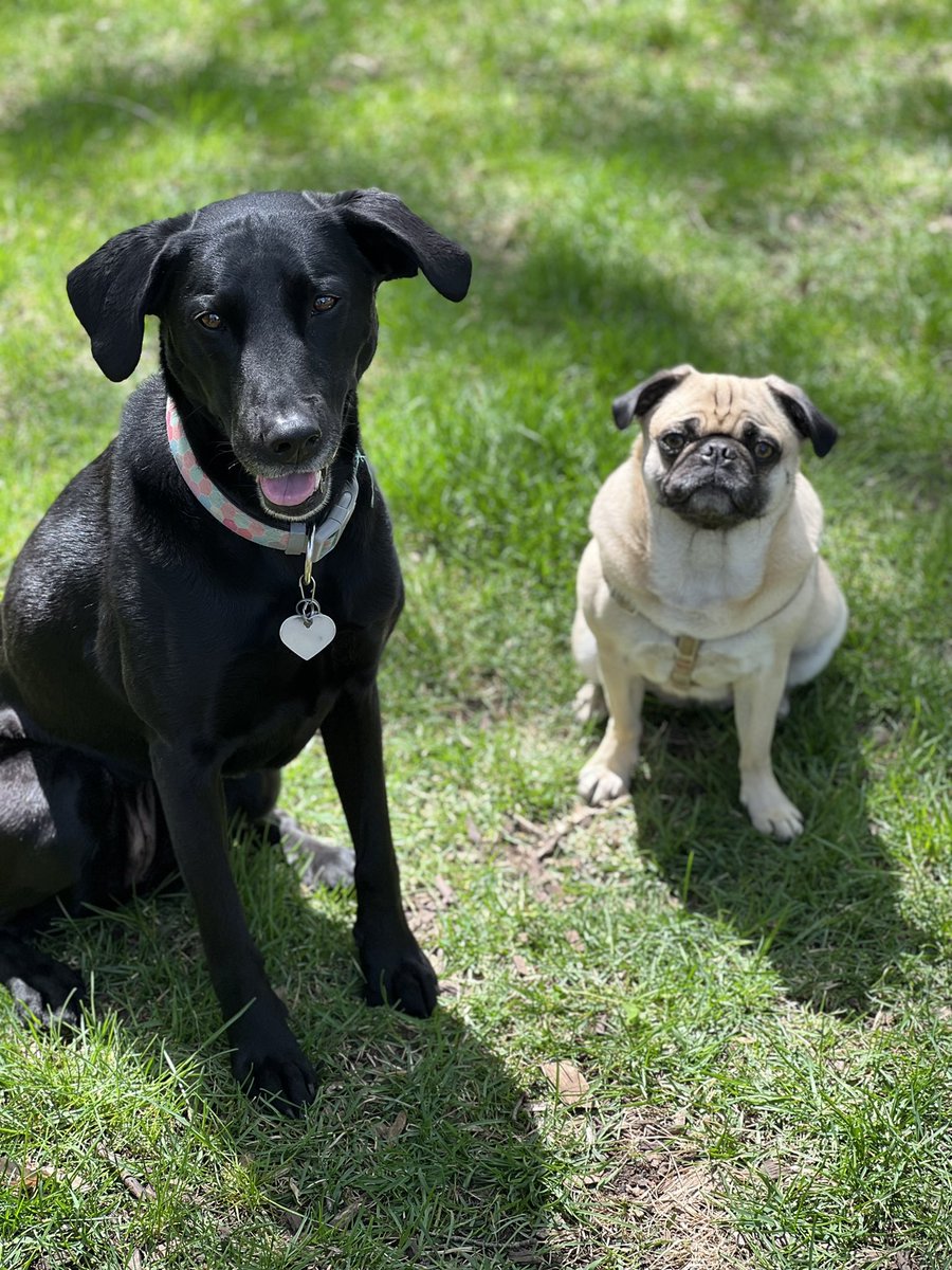 Werlinger Family tweet media