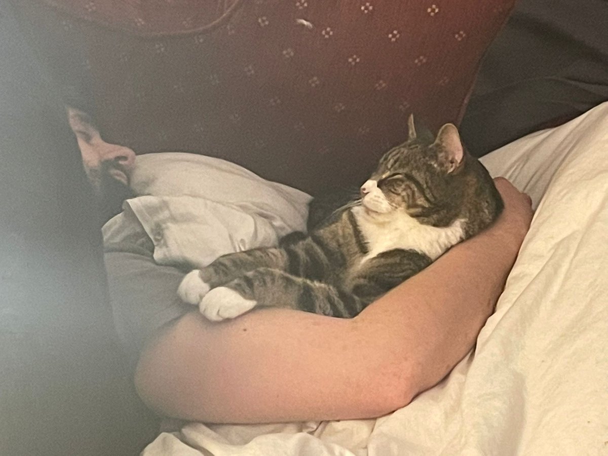 James Pepper tweet media