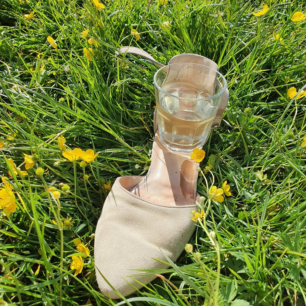 Zomer in Utrecht! 
En waar schoenen al niet handig voor zijn 😁