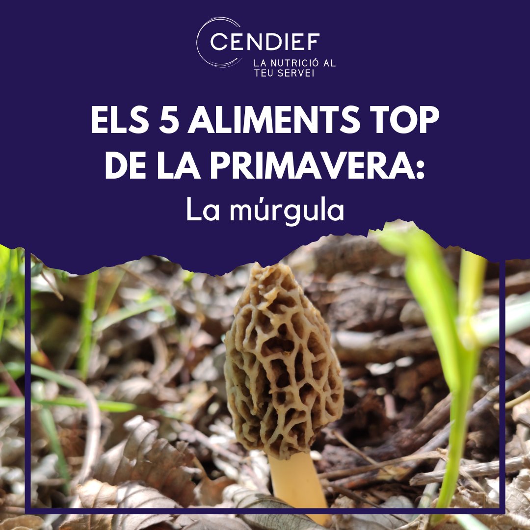 CeNDieF Nutrició tweet media