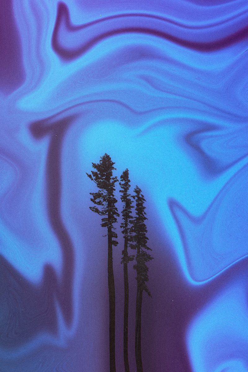 jencaywood's tweet image. all alone