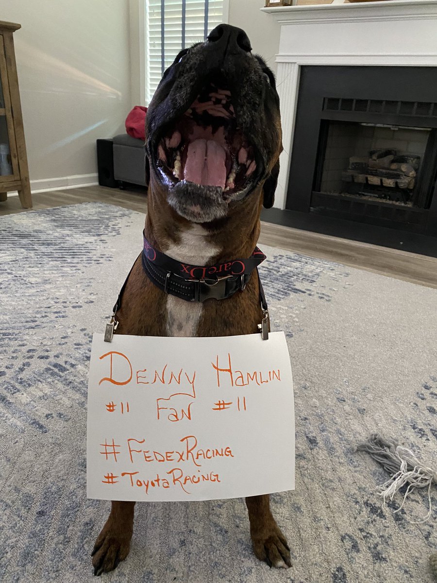 Lisa Kester tweet media