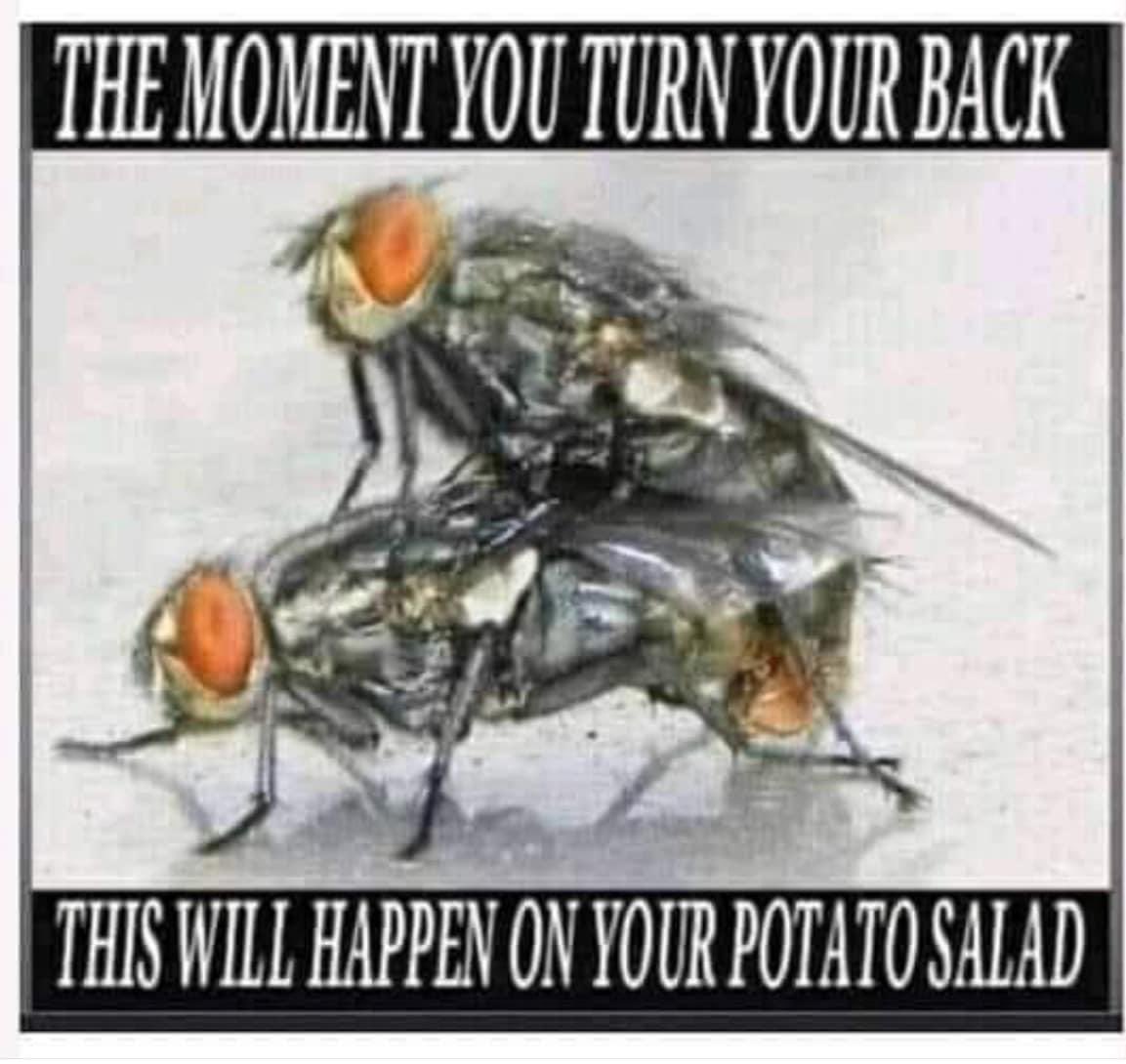 awokenbytruth's tweet photo. It’s potato salad season… Be careful out there! https://t.co/zaTqlSVzjA