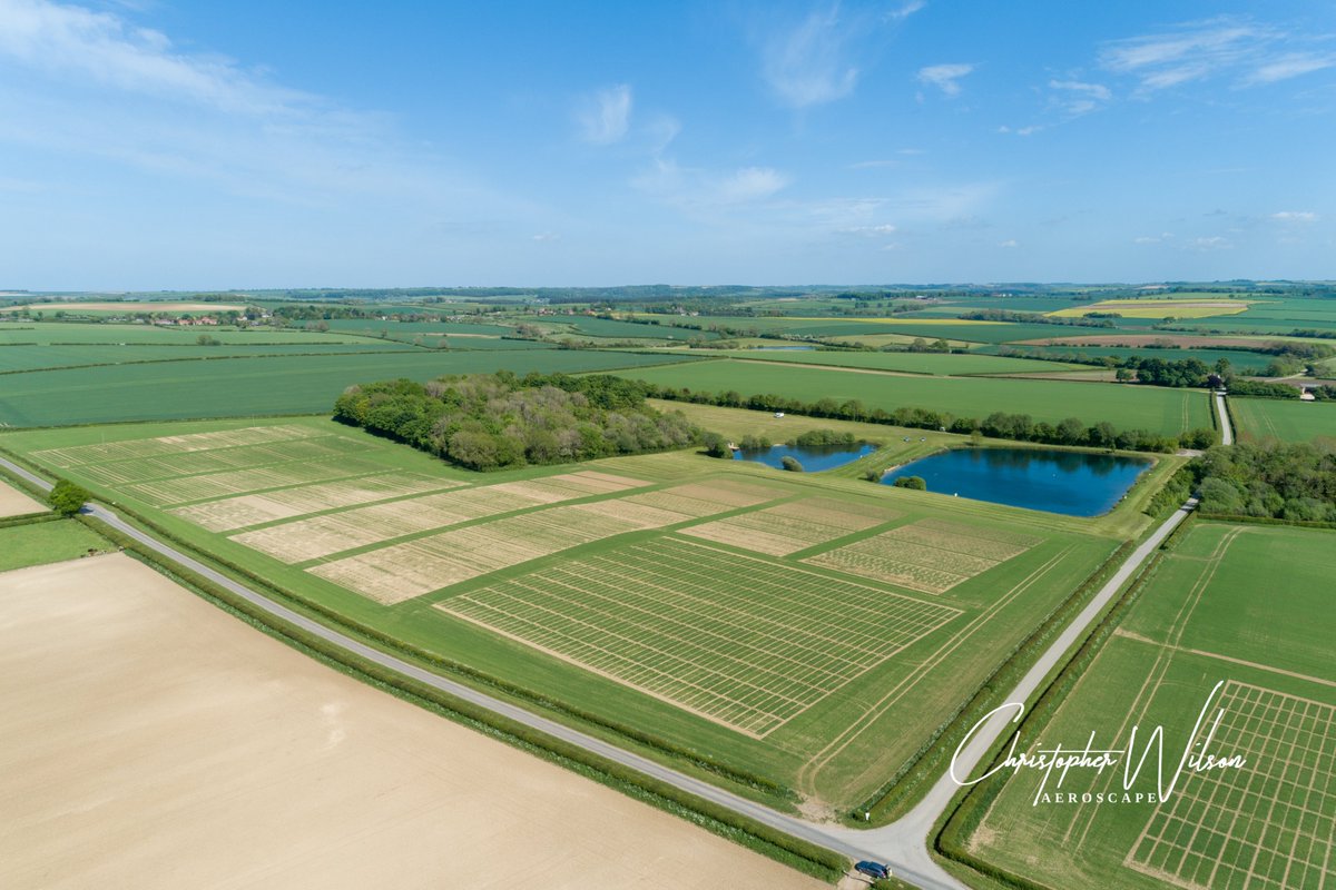 Aeroscape Lincoln tweet media