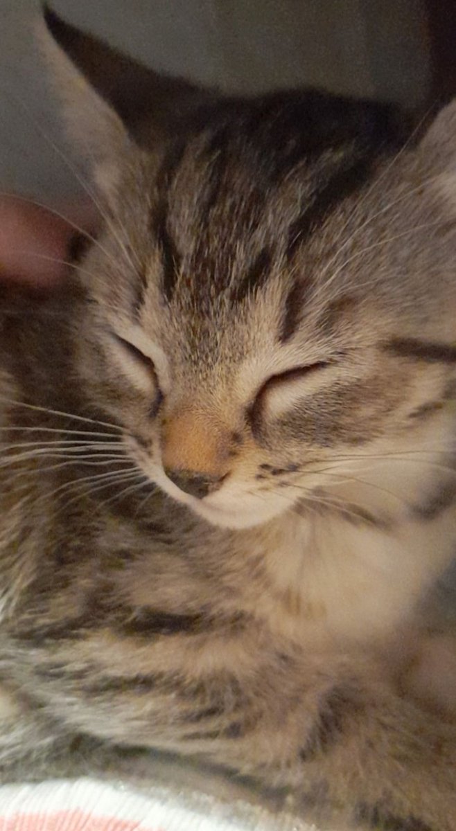 oliver🏳️‍🌈🎗//🇵🇸‼️‼️‼️ tweet media