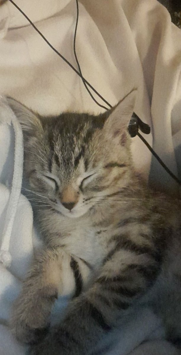 oliver🏳️‍🌈🎗//🇵🇸‼️‼️‼️ tweet media