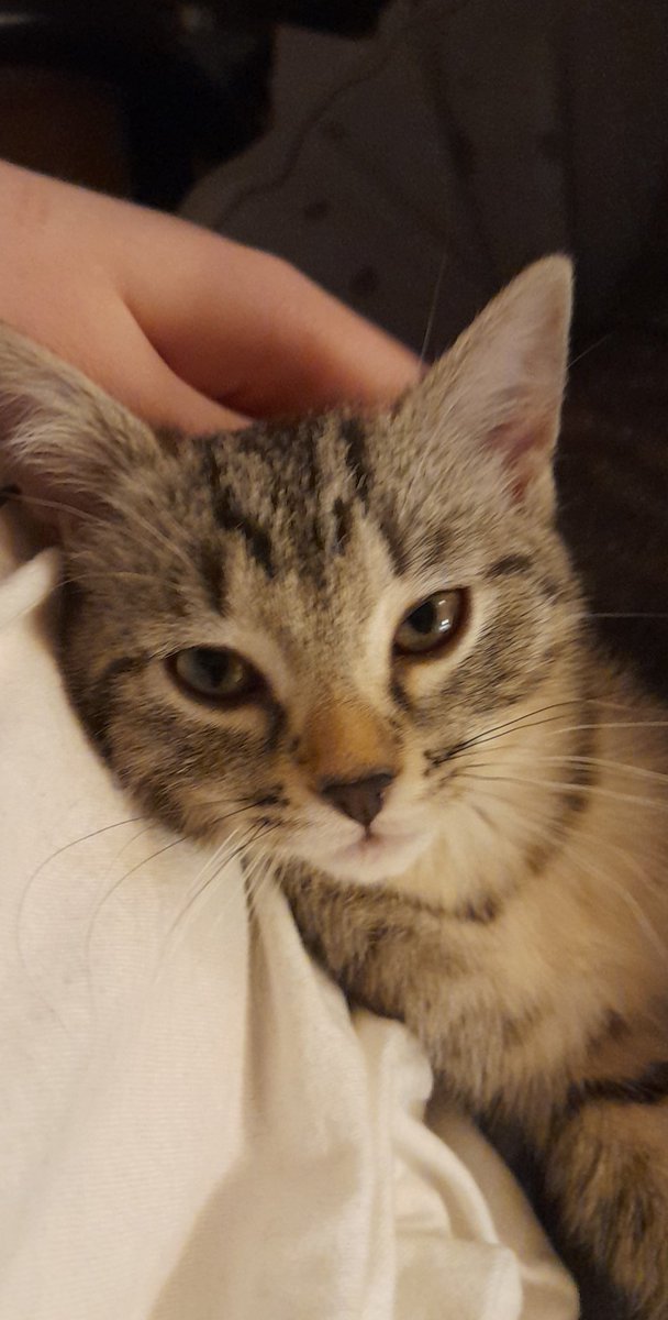 oliver🏳️‍🌈🎗//🇵🇸‼️‼️‼️ tweet media