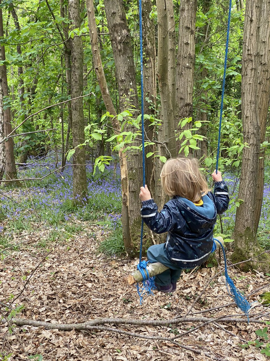Bluebells still looking gorgeous in our local woods.