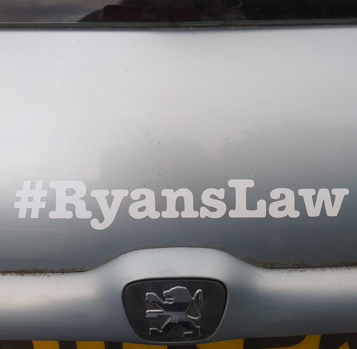 Leanne Saltern #RyansLaw tweet media