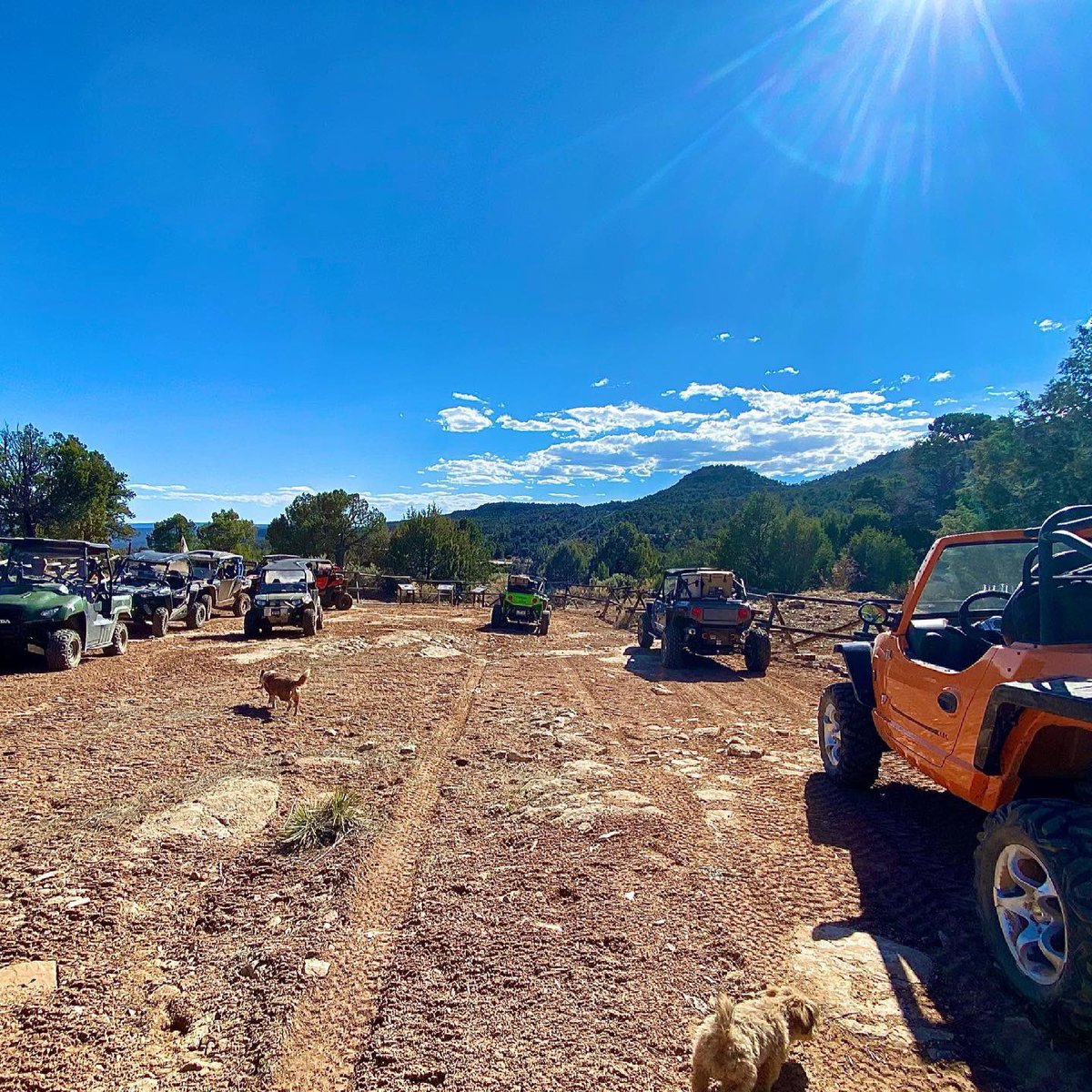 WestEndColorado's tweet photo. Rally the crew and posse up people! Off-road adventures are always more fun with friends!

📸: IG/@maximumpursuit
🏜: The Wild West
📍: West End, CO

#westendcolorado #offroadadventure #atv #utv #offroadcolorado #colorado #findyourwild https://t.co/A3e5MJBBKz