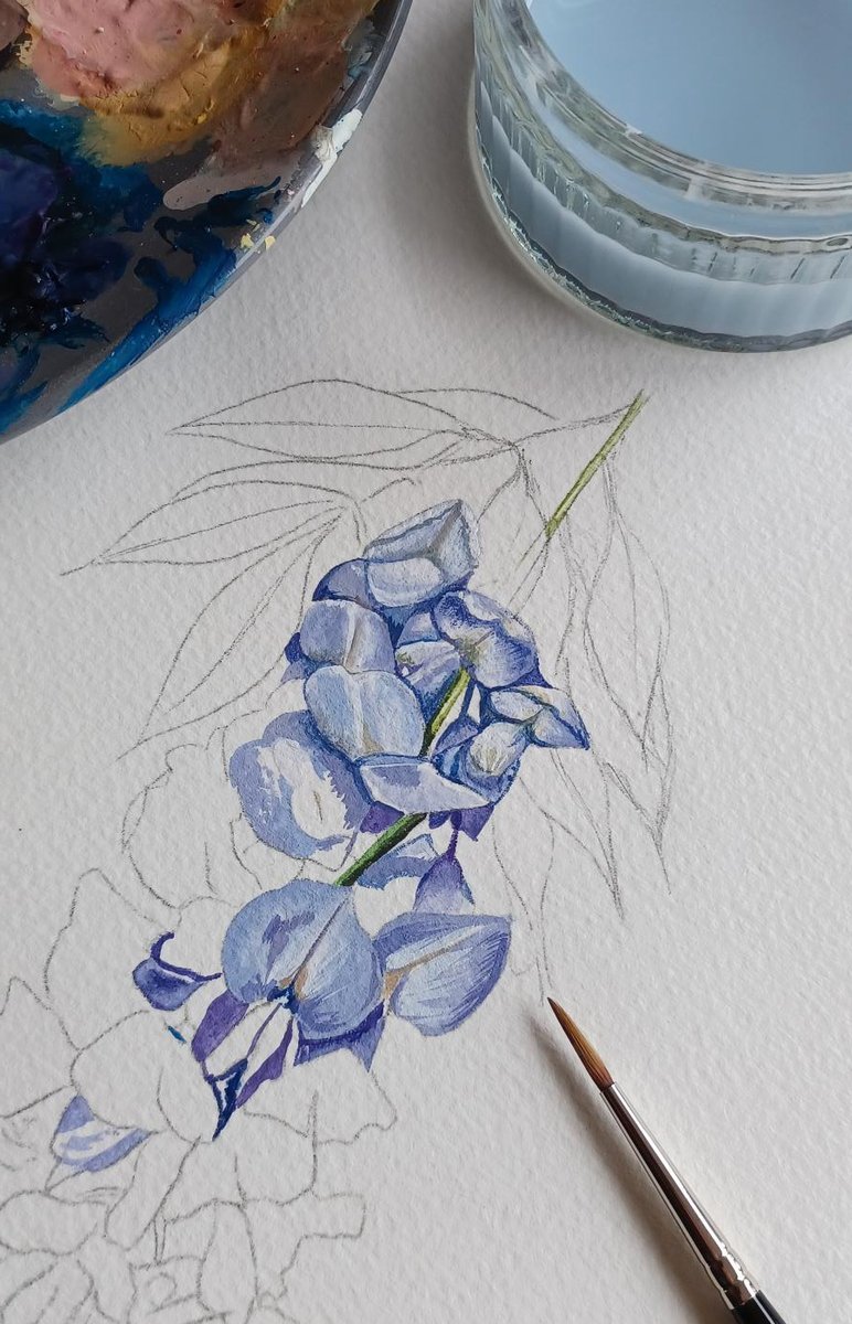 illustratorbeck's tweet photo. Wisteria painting in production. I'm thinking wallpaper and fabric eventually! - keep watching this space :)
@UKCraftHour #UKCraftHour @HandmadeHour #HandmadeHour #wisteria https://t.co/9FWBFyXr5k