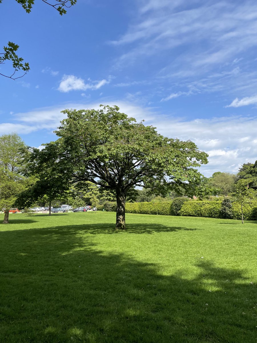 Jenlawconsulti1's tweet image. Weekend has gone very fast but looking forward to the week #manchester #london #mancheter and did I say #manchester 😂 
⁦@StormHour⁩ ⁦@ThePhotoHour⁩ ⁦@perkinsphotos1⁩ ⁦⁦@amkelMD⁩ 
⁦⁦@arborsmarty⁩ ⁦⁦@AmyWestbeld⁩