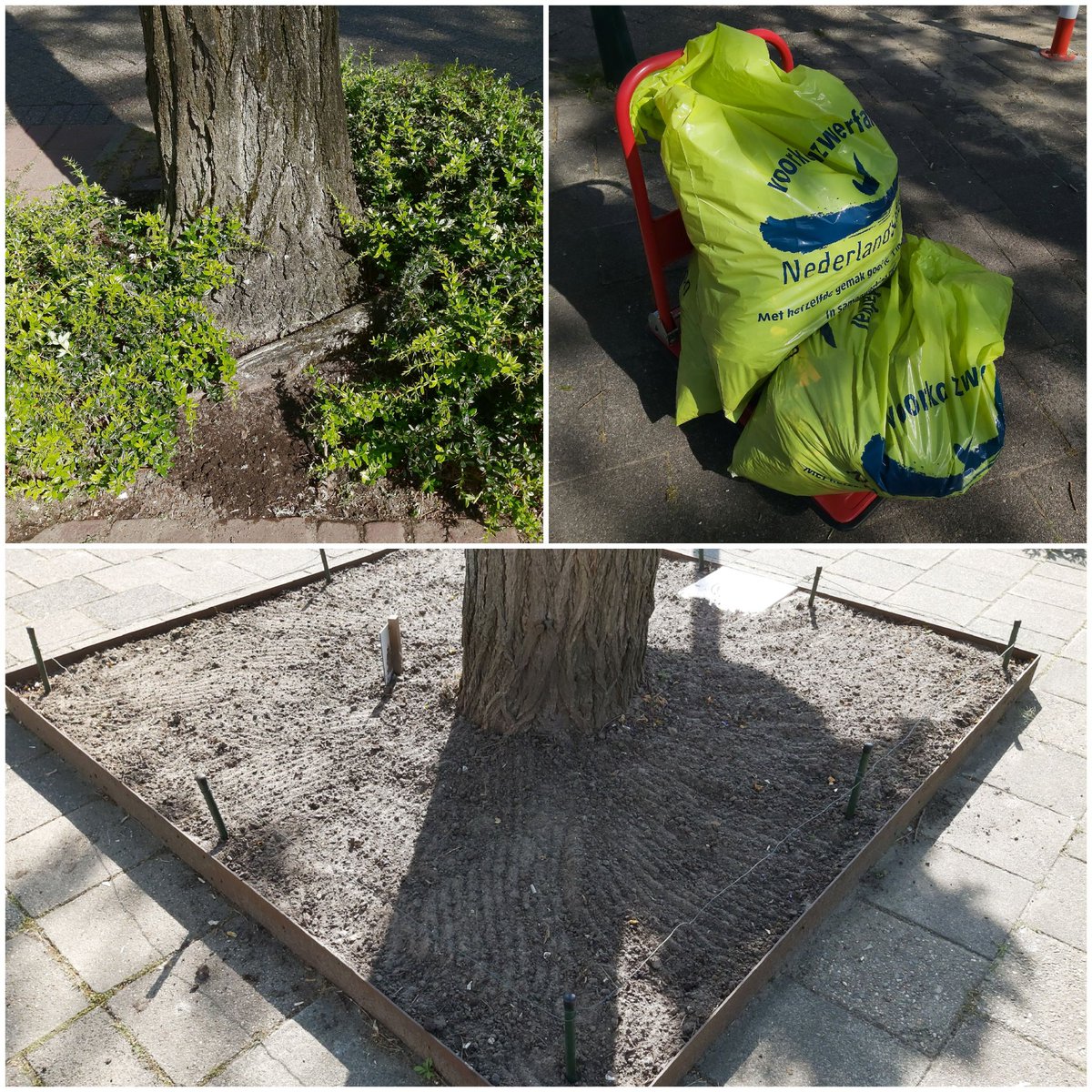 Anneke Strasters tweet media