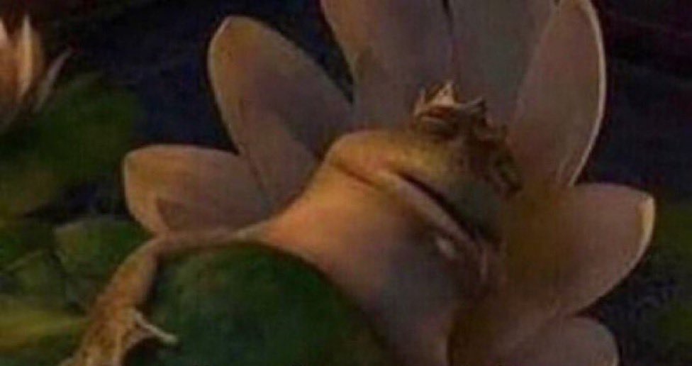 LHK.eth 🍀 tweet media