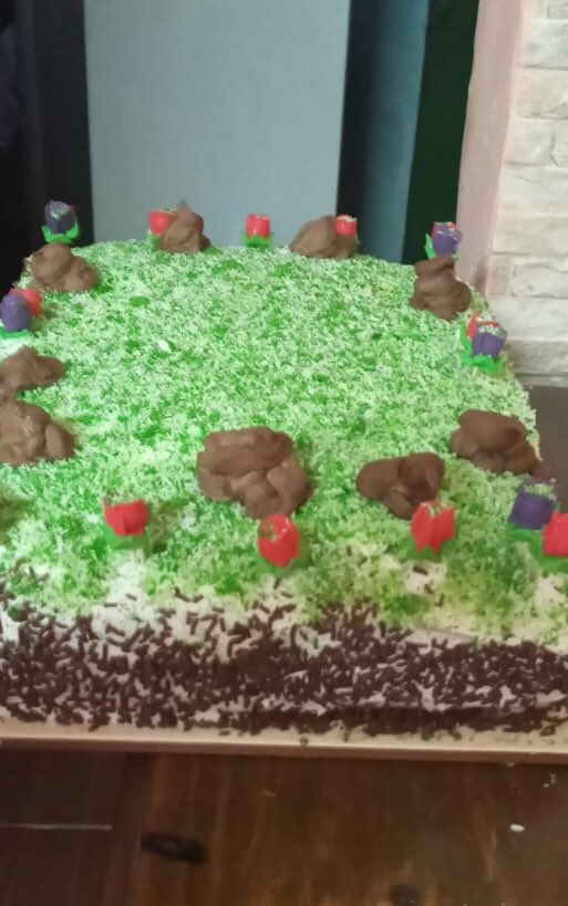 patoc22's tweet photo. Mi madre hizo esta torta de jardín, y no no son caquitas, son “piedras” 😅🥴 https://t.co/iPGyFnuZMq