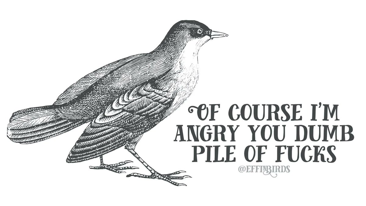 EffinBirds's tweet photo. https://t.co/ENTnwmULDb