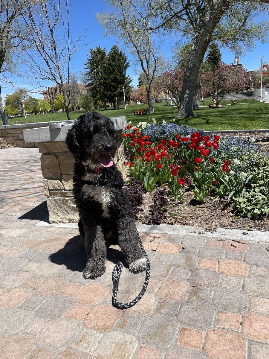Flower girl