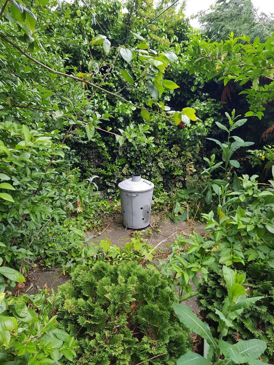RealityOasis's tweet photo. It's amazing what doing bugger all for months to a patio area at the end of the garden produces. I seem to have acquired a glade! 🖤 https://t.co/jFIx0GdAN4