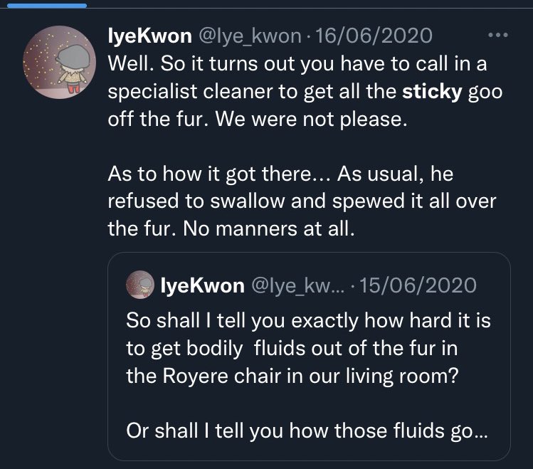 manonaswann's tweet photo. ⚠️🔞

It’s come to my attention that some of you aren’t aware of the ‘bodily fluids sticky goo fur’ tweets 💦 

Be aware that this is Dutchess talking to herself - she cosplays as Ji’s cats for GTop shipping purposes https://t.co/2iTGsxK627