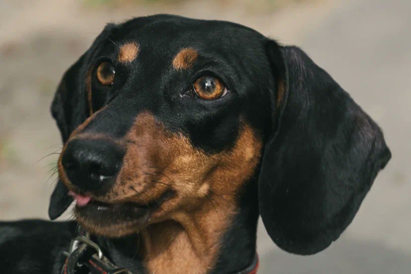 Два года одному из лучших решений в жизни.