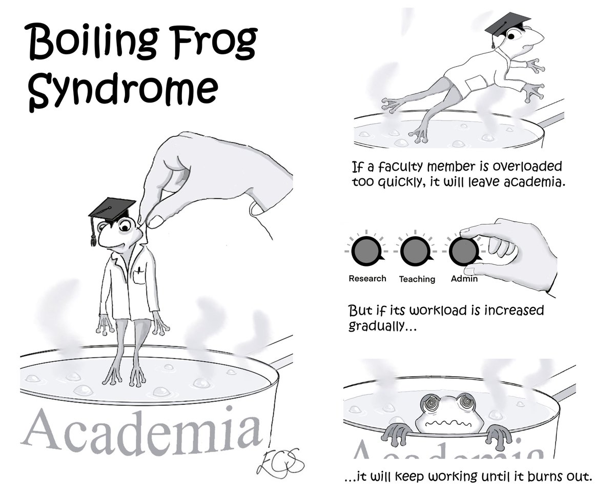 DrEoinOSullivan's tweet photo. Boiling the academic frog. @researchwhisper https://t.co/6iWXTnSzdf