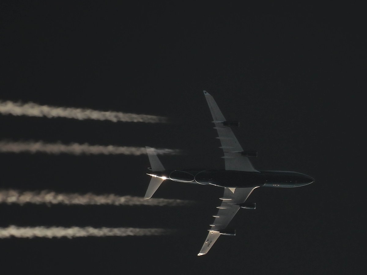 EHEH_Spotter's tweet photo. 🇱🇾Government of Libya Airbus A340 213  5A-ONE as flight #5AONE Tripoli --> Hamburg @ FL410

#NLspot https://t.co/fgmMndb7mI
