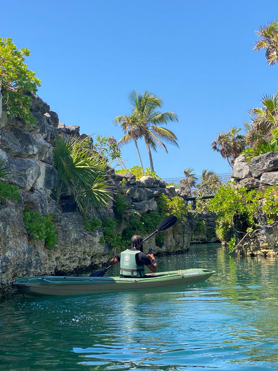 acnnews's tweet photo. What a gift to spend a week in Cancun at the Xcaret resort connecting on the deepest level with the rest of the #ACNfamily for some serious R&R. This place is incredible. No one does an incentive trip like ACN. #XcaretAdventure #acnleadershipretreat #acnxcaret https://t.co/TiZumsw7JD