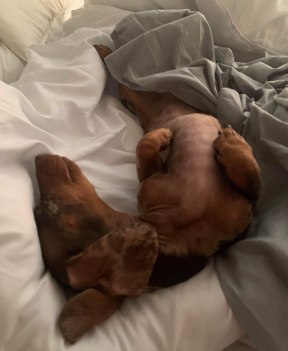 PickleCoco's tweet photo. Weekend = completed ✅ https://t.co/1Box26wcf7