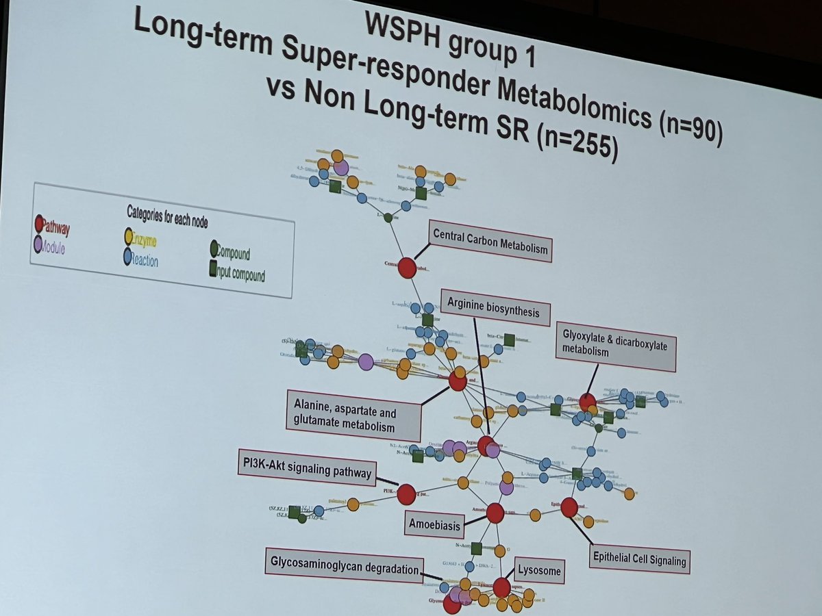 meg6684's tweet photo. Great talk on #PulmonaryHypertension #SuperResponders by @ebrosenzweig #PVDOMICS @ATS_PC #ATS2022 https://t.co/a0WSXw6Gk5