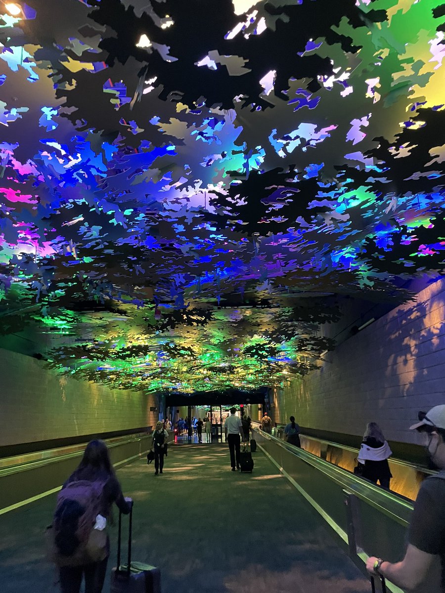 Waters_Paleolim's tweet photo. In the Atlanta airport, always take the walk (not train) from concourse A to B! See you soon #JASM. Auburn PaleoEnv lab is ready to get there. #paleolimnology #TeamMud https://t.co/6vGj0Wj0TF