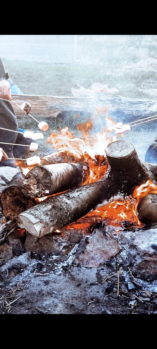 We've set up camp and are making full use of the campfire 🔥 #dofe #toastingmarshmallows #bronzedofe