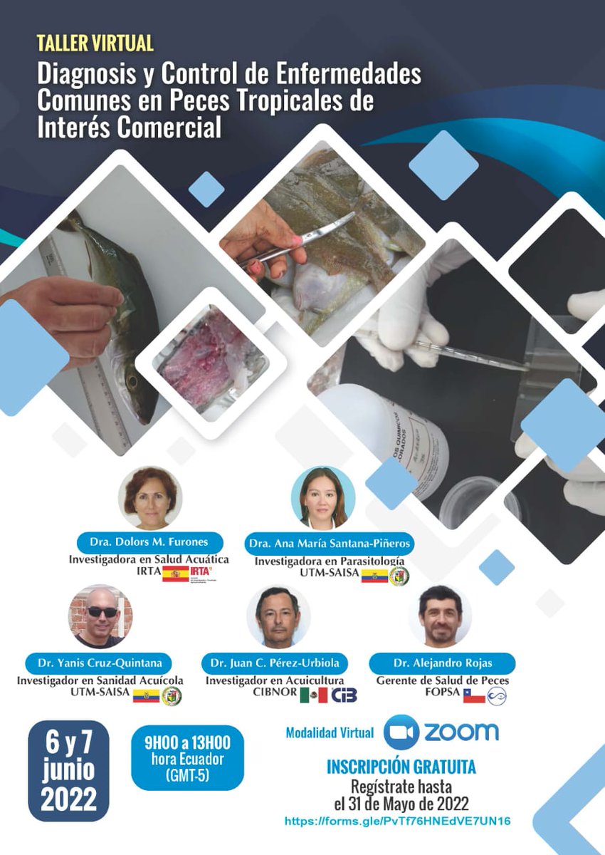 CientificaMa's tweet photo. La EAP de la @UTMManabi como parte de @LARVAplus; los invita a participar del Taller virtual gratuito "Diagnosis y control de enfermedades comunes en peces tropicales de interés comercial" el 6 y 7 de junio de 2022 las inscripciones están abiertas
https://t.co/bk5Rs4ULtX https://t.co/VywHSiX7Hg