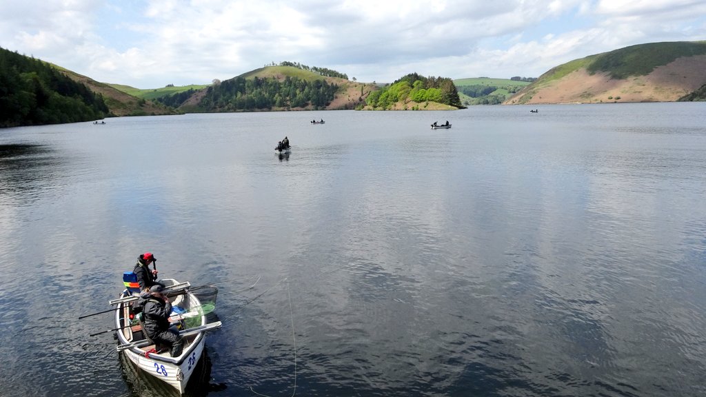 GayleMarsh14's tweet photo. Got asked to fish for one of the teams in the Clywedog league today. Happy to say the fishing gods were kind and a few fish came to the net. Tip of the hat to my boat parter Andrew for putting me over the fish. 
#FlyFishing
#SharingFliesWithaStranger https://t.co/F9Bl2m9o7A