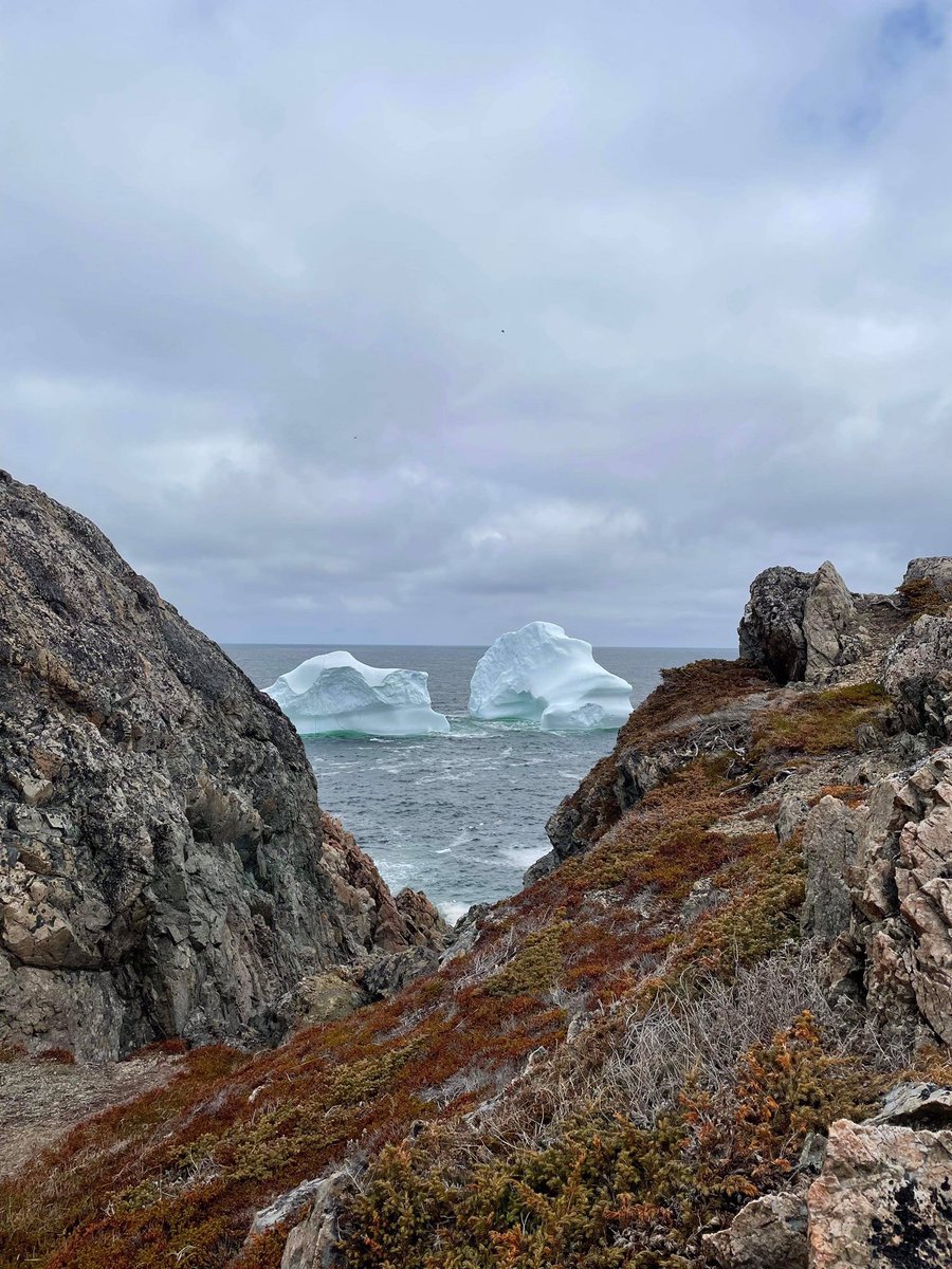 Peter Butt tweet media