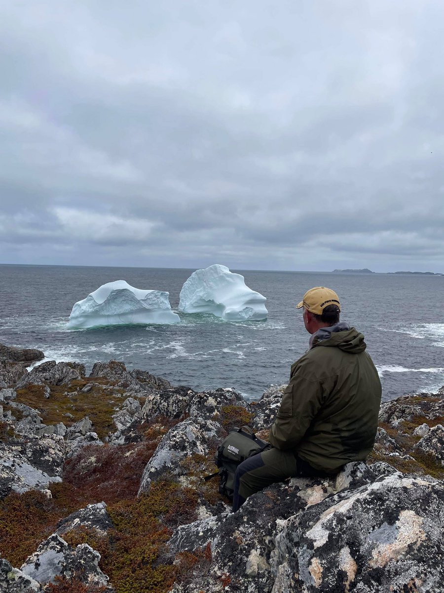 Peter Butt tweet media