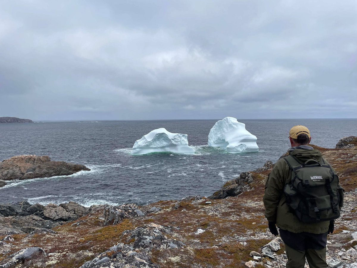 Peter Butt tweet media