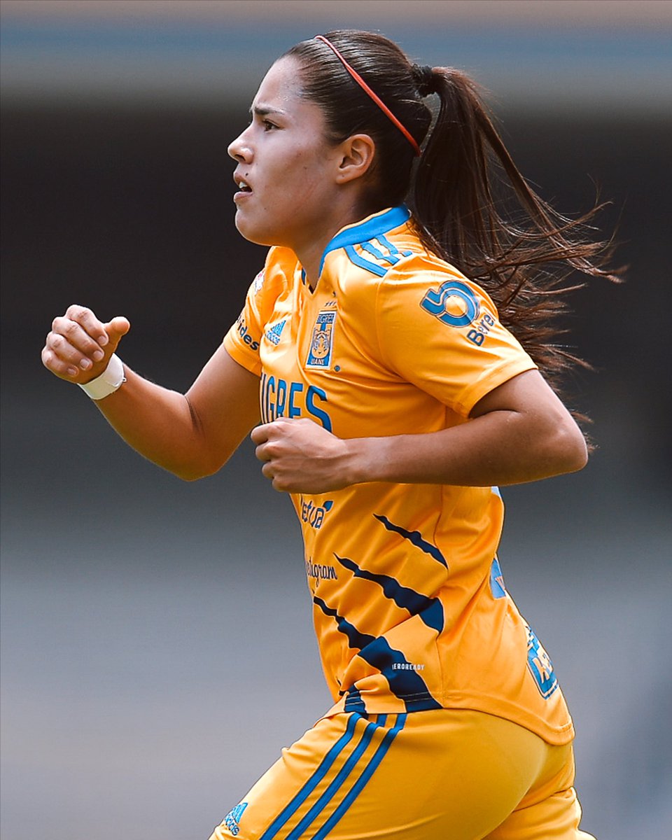 TigresFemenil's tweet photo. ▶️ REPORTE MÉDICO

📌 @lizbethovalle7 fue diagnosticada con un edema muscular en la pantorrilla derecha de grado uno, por lo que su recuperación queda sujeta a evolución.

¡Siempre contigo, Maga! 💛

@christusmx Hospital Alta Especialidad https://t.co/y1MgTd5hon