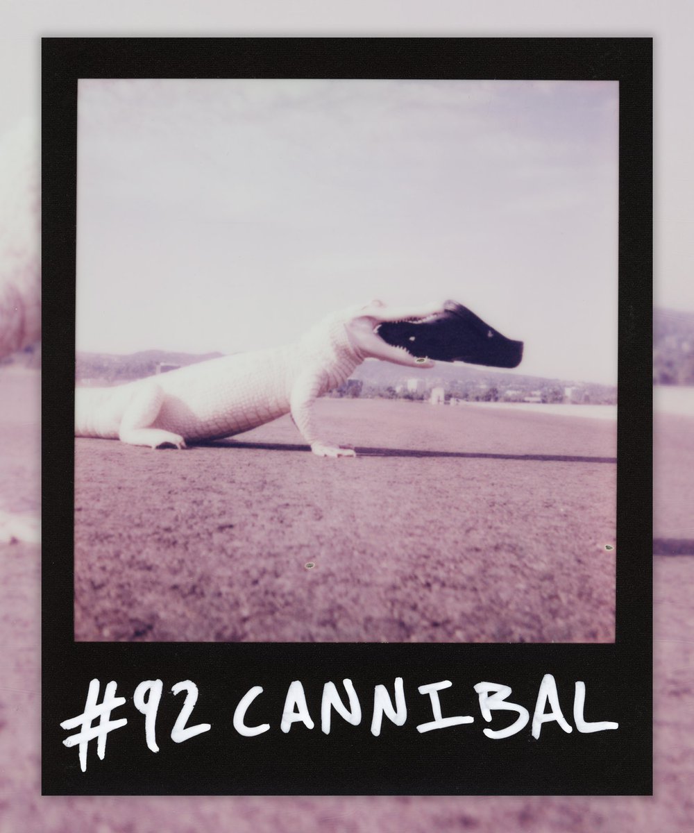 OriginalsDAO's tweet photo. #92 CANNIBAL 
🚨 24h Auction LIVE now 🚨 exclusively on https://t.co/IdYW6OdBhp

Perks:
- Holder receives NFT &amp; physical 1/1 Polaroid
- 1/99 Membership &amp; Voting Right in Originals DAO https://t.co/z37Y3MbWWi