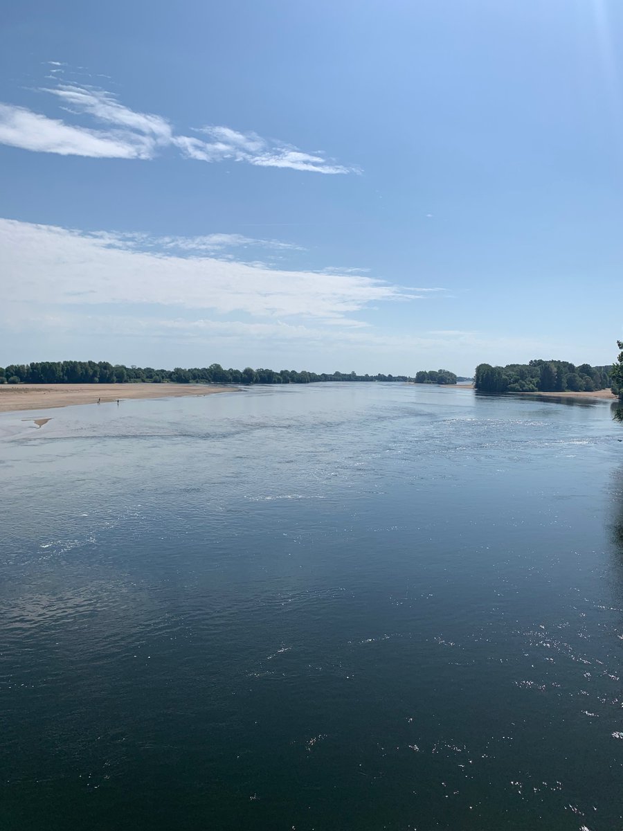ValentinMaisons's tweet photo. Très beau Semi - @MarathonLoire à @MairiedeSaumur, 21km bouclés en 1h34 au delà de l'objectif fixé (#RetourDeBlessure😖), mais l'expérience reste belle 🌞🏃
Couleurs @CJNephro 👕 #CJRun
92e/1500🤪 https://t.co/DWSwFLRtOf