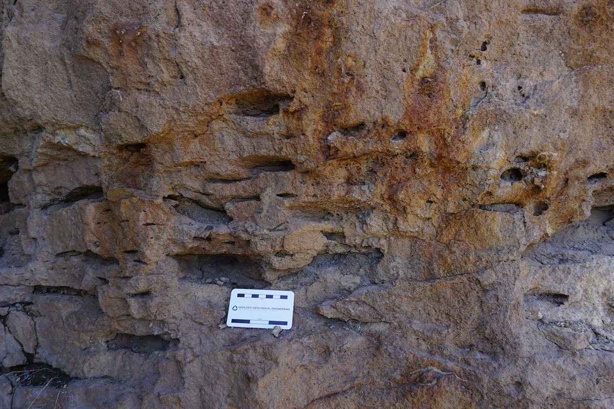 stratigraphix's tweet photo. Fiamme and gas cavities in the Fish Canyon Tuff related to the La Garita eruption 27.8 ma. Photo was taken today during fieldwork in the Central San Juan Caldera Complex in Colorado, US.
#geology #volcaniclastics #volcanics #tuffs #pyroclasticflows #pyroclasticflows #volcanoes https://t.co/m8DYCwz7DO