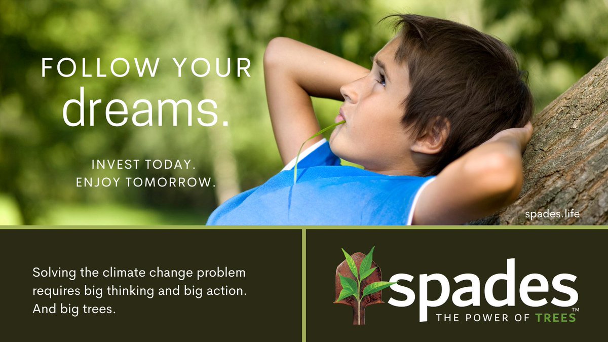 spades_sbc's tweet image. Mitigating climate change depends on reforesting the world. It is an investment in future generations. Read about how we can help: bit.ly/SpadesSBC #climatechangetech #SDGs #savetheplanet