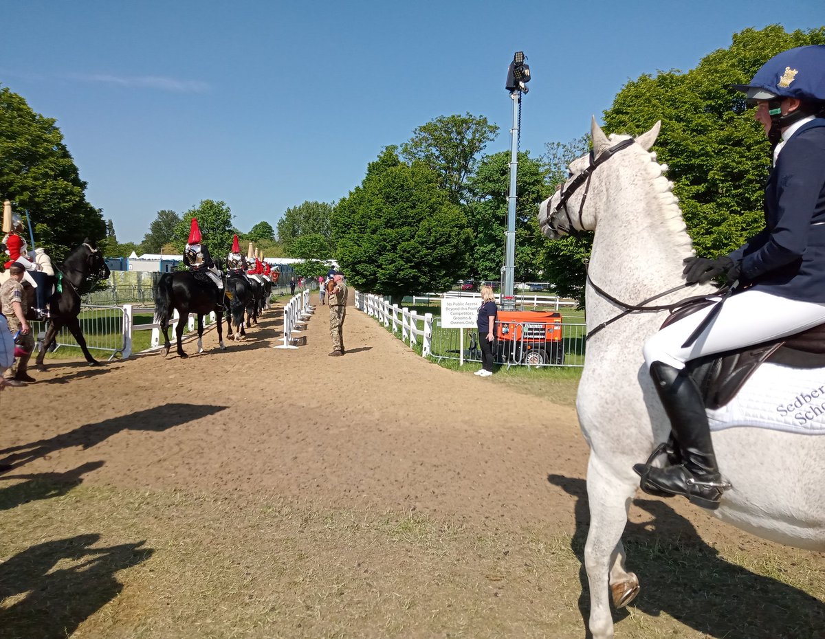 Sed_Equestrian's tweet photo. Derry was very keen to join the Household Cavalry #tooexciting https://t.co/w6I6xy46aT