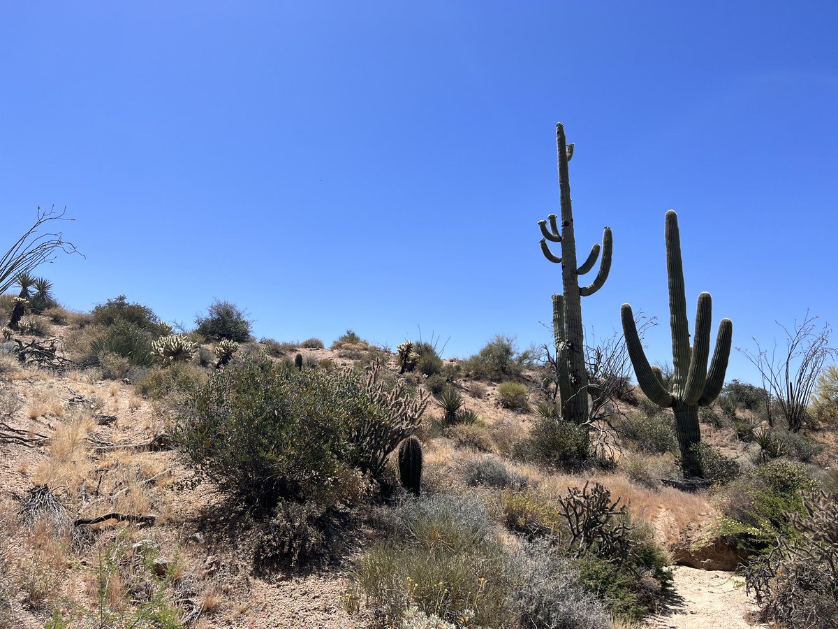 afroabroad's tweet photo. Honestly I’m not the outdoorsy person but so glad I pushed myself on my company retreat. Went hiking and even horseback riding https://t.co/VLsh1NMChc