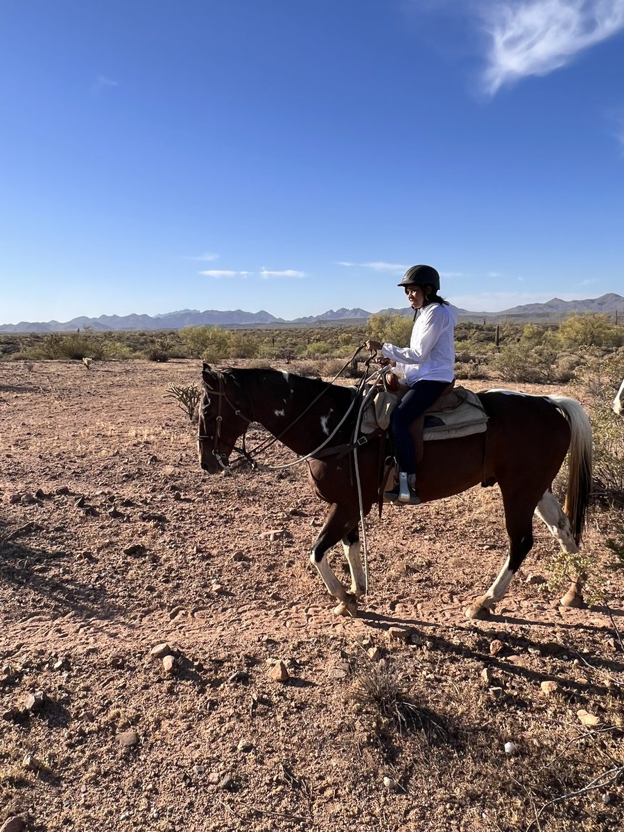 afroabroad's tweet photo. Honestly I’m not the outdoorsy person but so glad I pushed myself on my company retreat. Went hiking and even horseback riding https://t.co/VLsh1NMChc